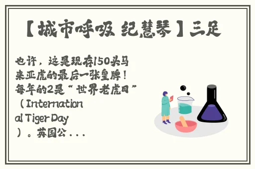 疯狂的西班牙**XX00